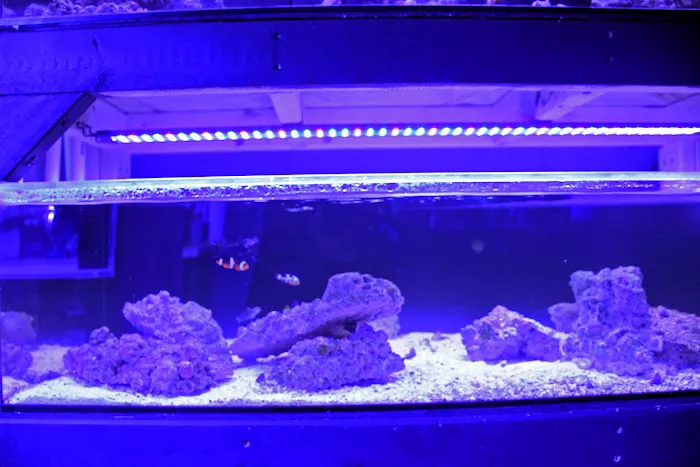 Michiana Aquarium and Pet Supply Picture 6