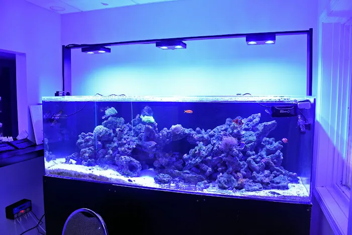 Michiana Aquarium and Pet Supply Picture 2