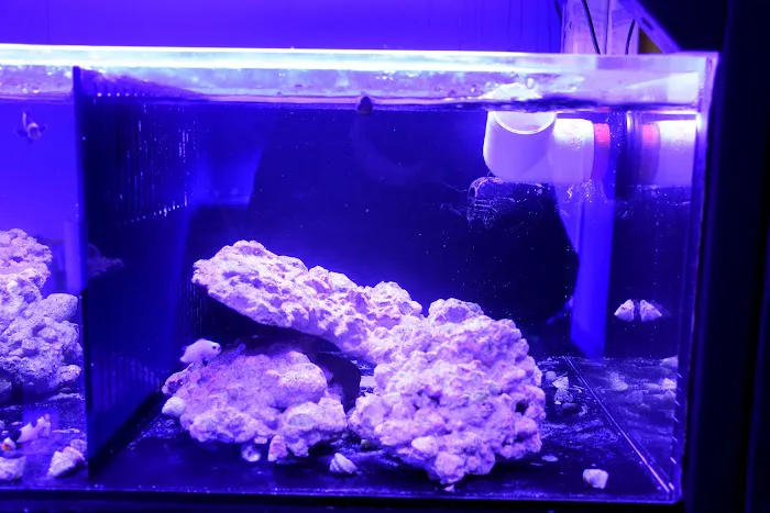 Michiana Aquarium and Pet Supply Picture 4