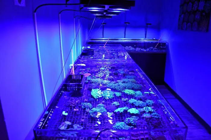 Michiana Aquarium and Pet Supply Picture 7