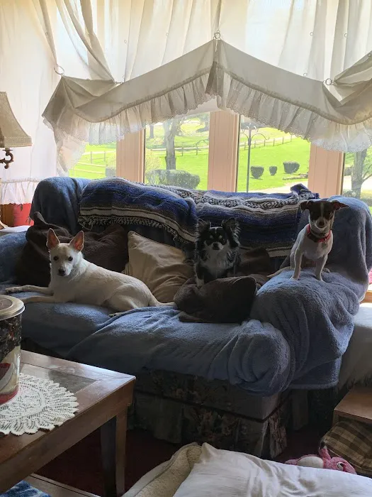 Altmeyer Veterinary Hospital Picture 8