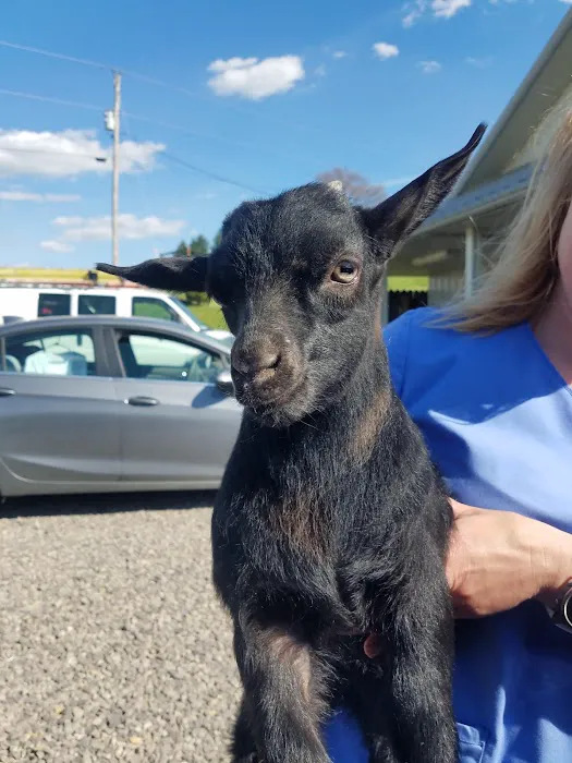 Countryside Animal Health - Smicksburg Picture 5