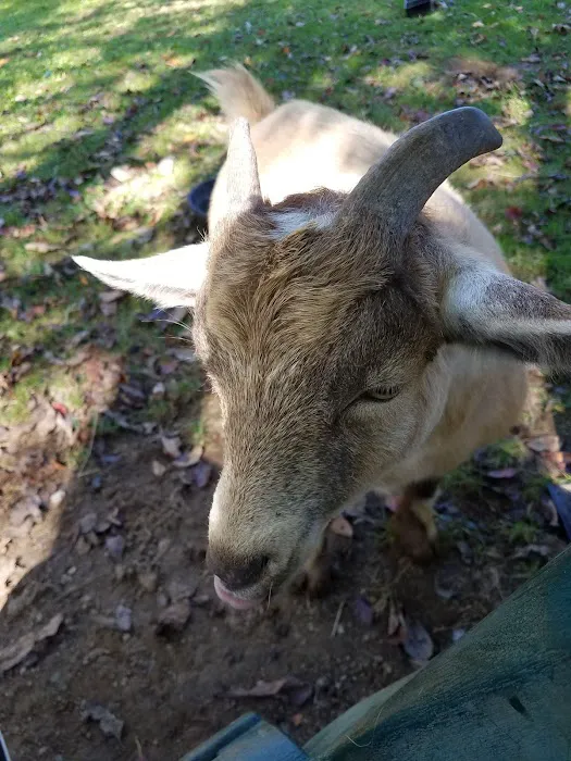 Countryside Animal Health - Smicksburg Picture 4