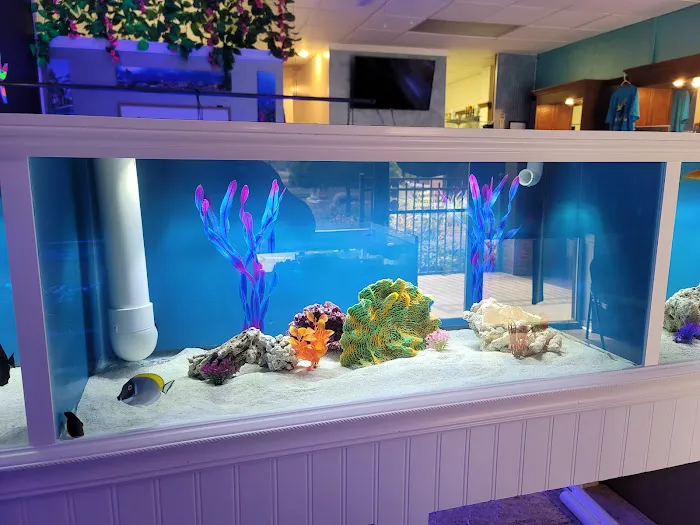 DNA Aquatic Picture 3