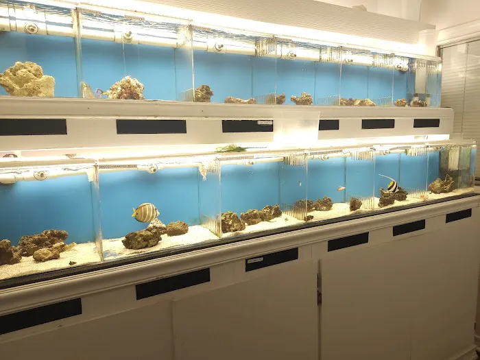 DNA Aquatic Picture 8