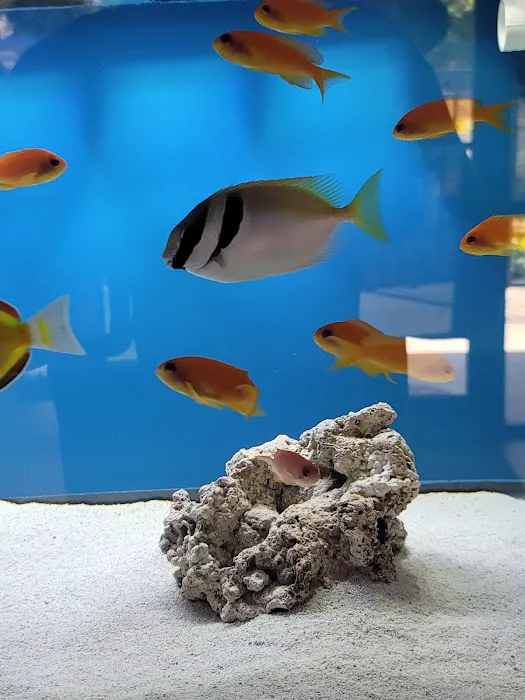 DNA Aquatic Picture 1