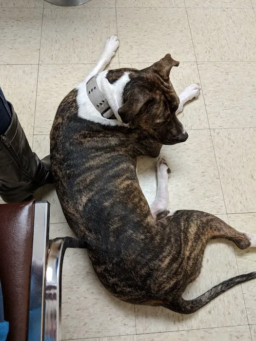 Kittanning Veterinary Hospital Picture 6