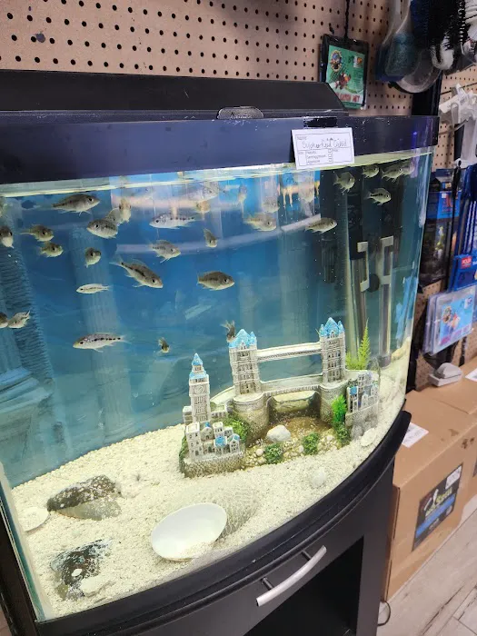 Northside Aquatics LLC Picture 5