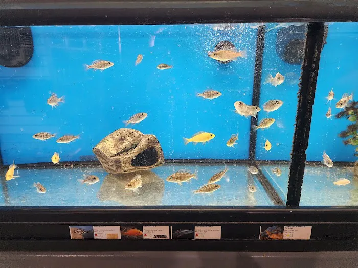 Northside Aquatics LLC Picture 1