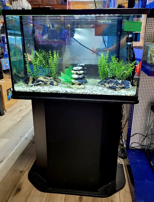 Northside Aquatics LLC Picture 10