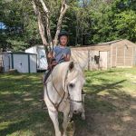 Robert L Lash Veterinary Associates