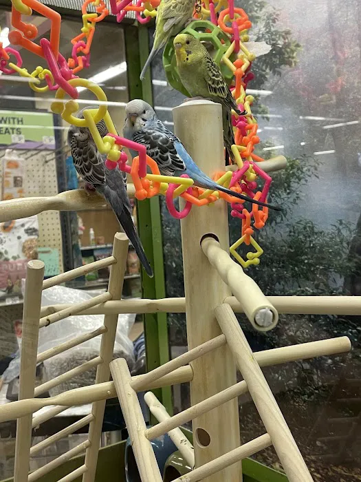 Petco Picture 10