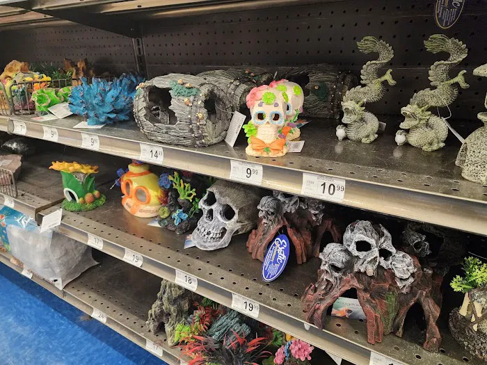 Petco Picture 6