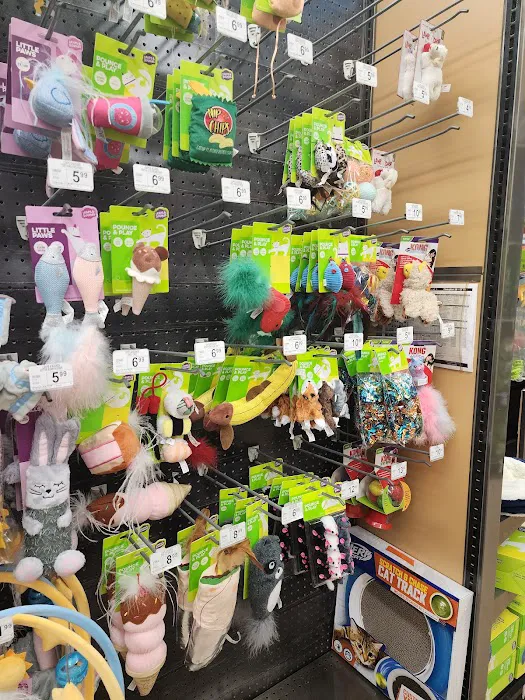 Petco Picture 7