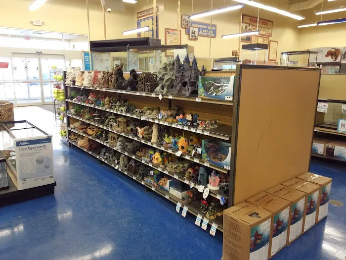 Petco Picture 3