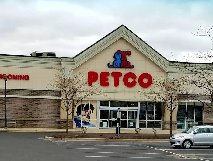 Petco Picture 4