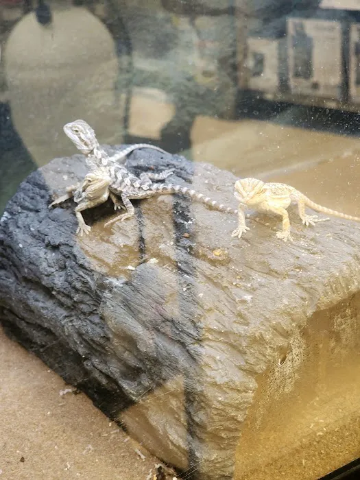 Petco Picture 9