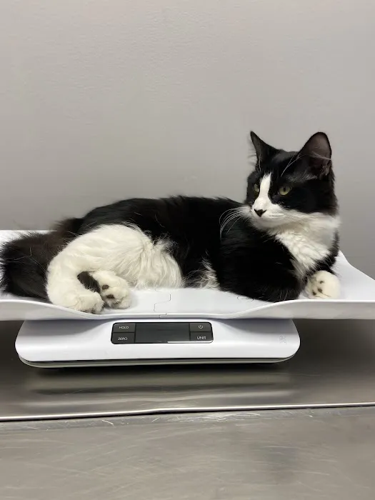 Kiski Valley Animal Clinic Inc Picture 6