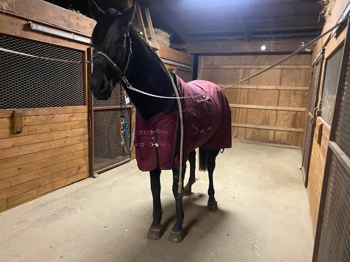 Fox Run Equine Center Picture 7
