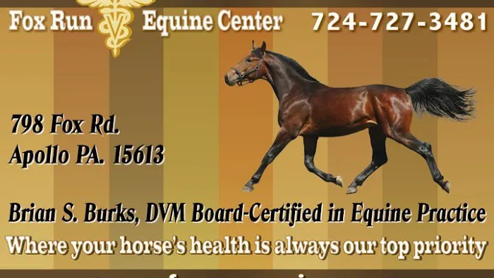 Fox Run Equine Center Picture 3