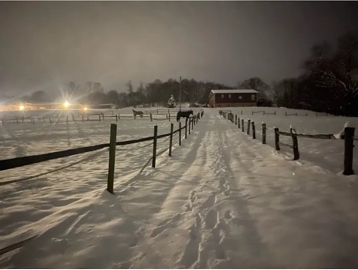Fox Run Equine Center Picture 5