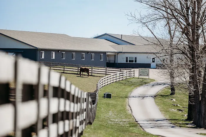 Allegheny Equine Associates Picture 6
