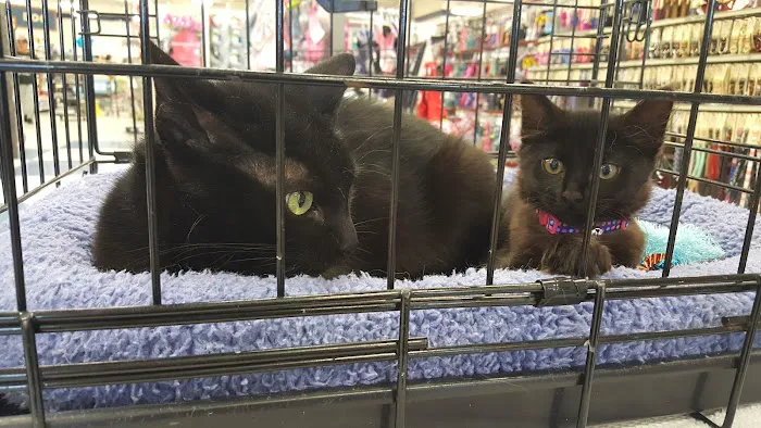 Petco Picture 10