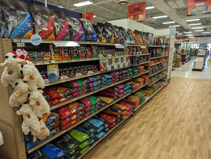 Petco Picture 4