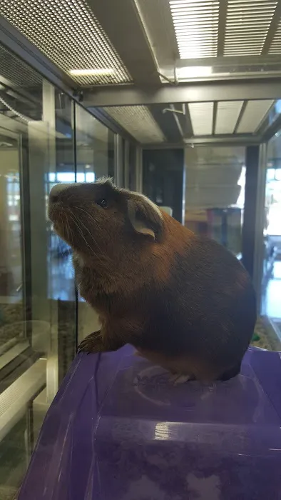 Petco Picture 2