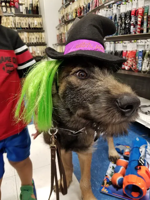 Petco Picture 8