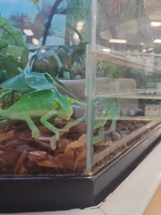 Petco Picture 5