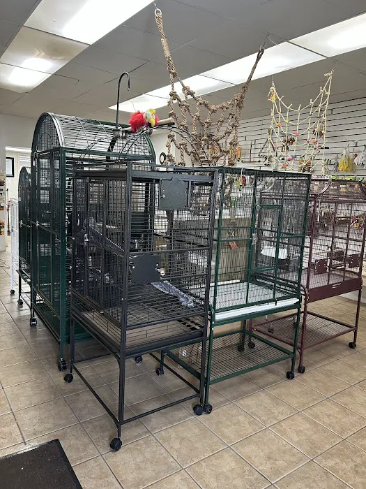 Jo's Exotic Birds Ltd Picture 4