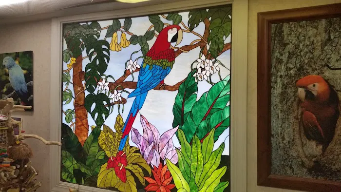 Jo's Exotic Birds Ltd Picture 7