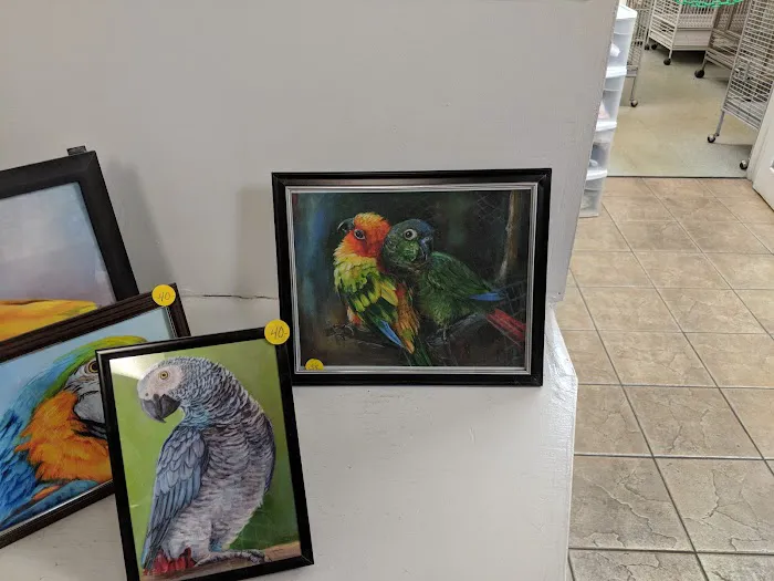 Jo's Exotic Birds Ltd Picture 9
