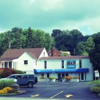 East Suburban Animal Hospital ico