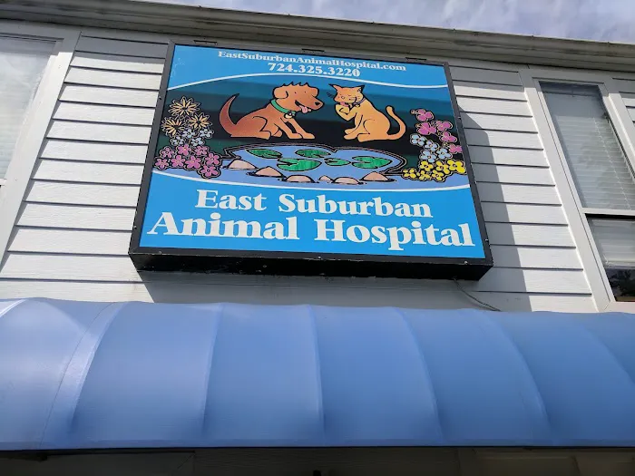 East Suburban Animal Hospital Picture 3