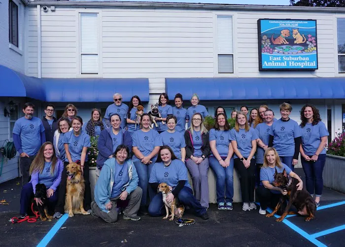 East Suburban Animal Hospital Picture 2