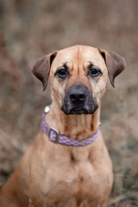 East Suburban Animal Hospital Picture 10