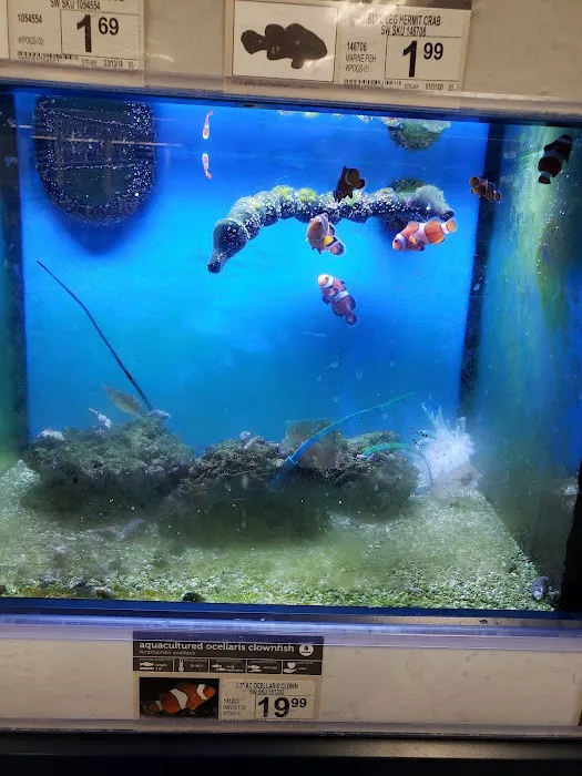 Petco Picture 3