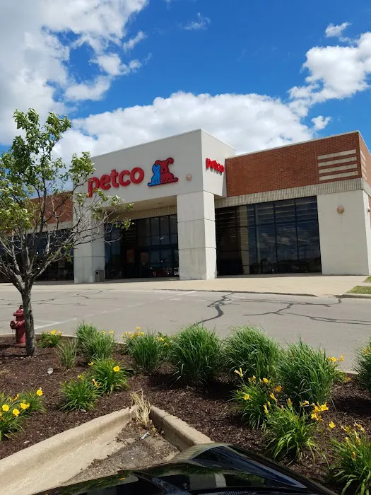 Petco Picture 4