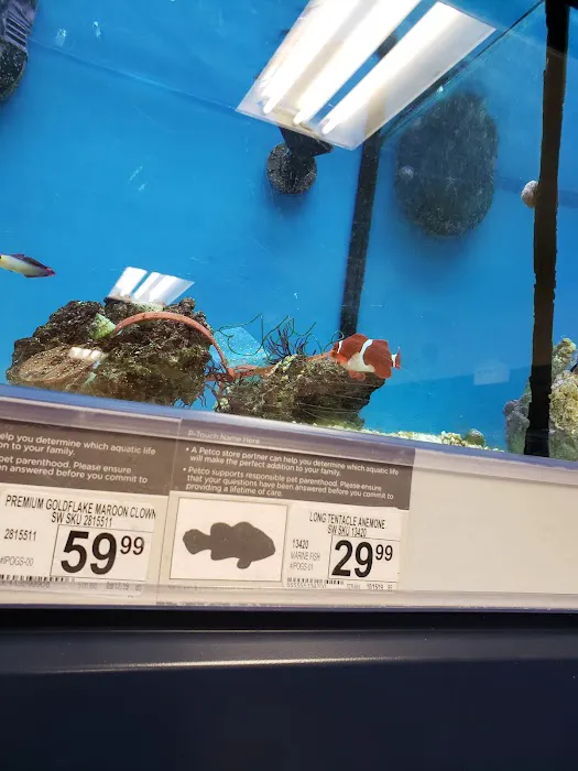 Petco Picture 6