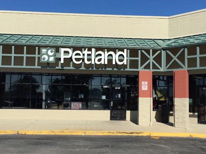 Petland Racine Picture 1