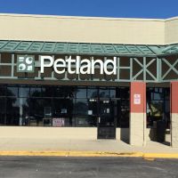 Petland Racine ico