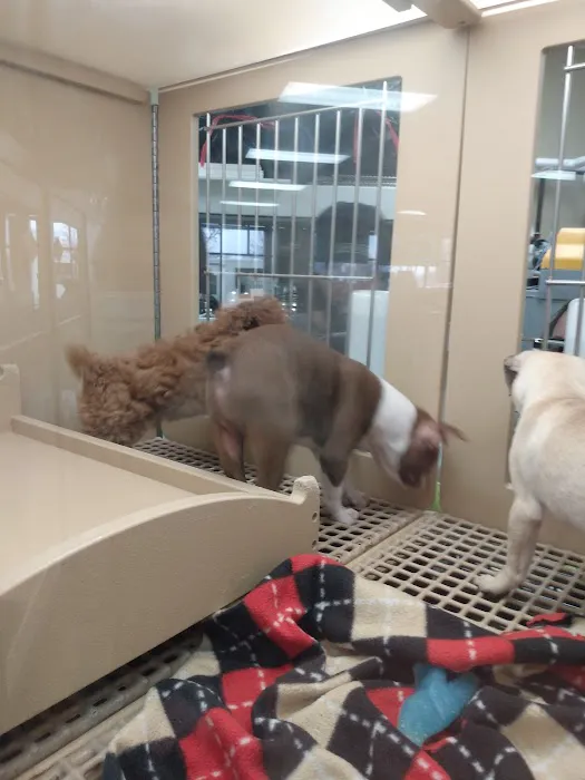 Petland Racine Picture 6