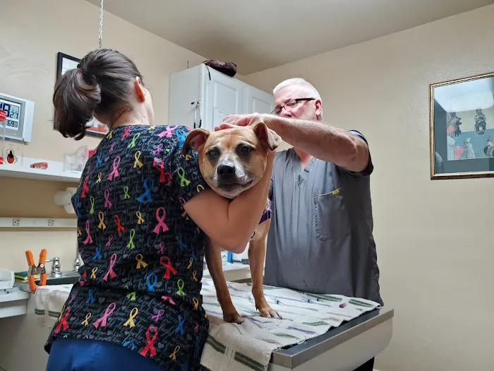 Pittsburgh East Animal Hospital Picture 9