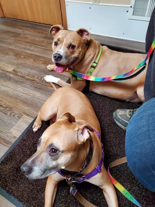 Pittsburgh East Animal Hospital Picture 8