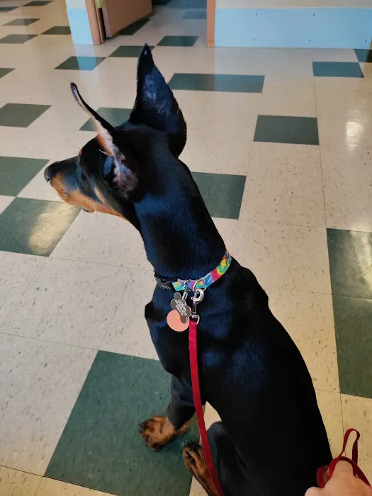 Pittsburgh East Animal Hospital Picture 7