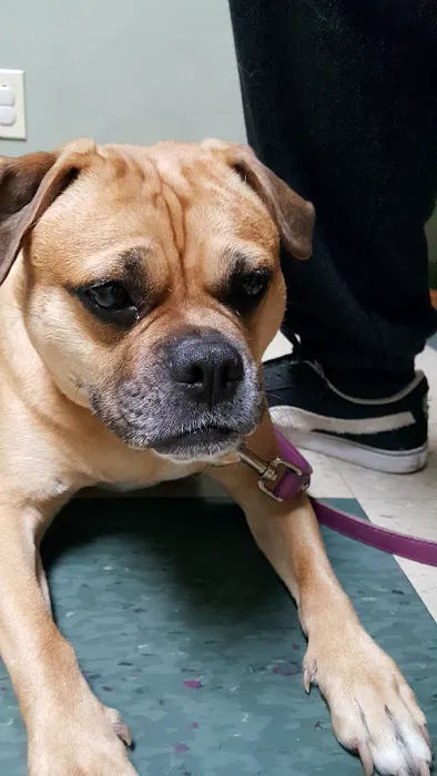 Pittsburgh East Animal Hospital Picture 3