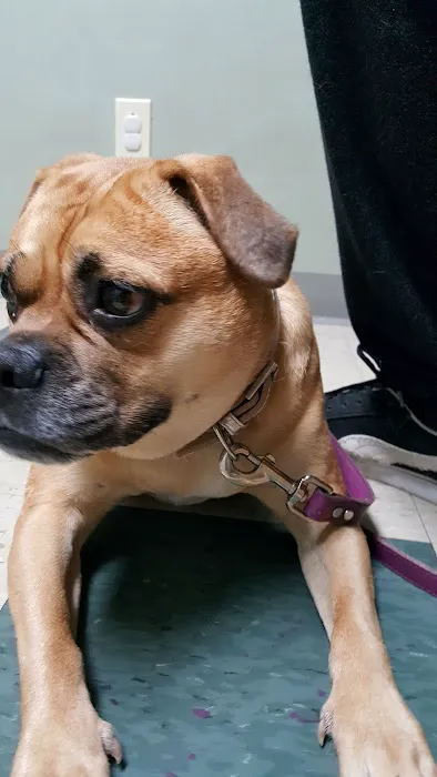 Pittsburgh East Animal Hospital Picture 1