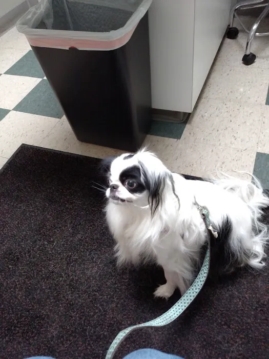 Pittsburgh East Animal Hospital Picture 6